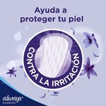 Protectores Diarios Sensitive (40 Unidades) #9