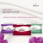 Teatrical Toallitas de Limpieza Facial Con Agua Micelar 5 en 1 (40 Unid) #9