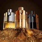 Wanted Forever Elixir x 50ml #4