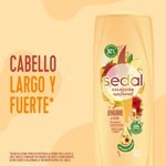 Acondicionador Sedal Jengibre Y Ricino 340 Ml #6