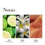 Arden Sunflowers Edt Presentación 100 ml #3