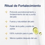 Dove Shampoo Fortalecimiento 400 Ml #5