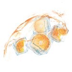 Garnier Mascarilla en Tela Para Ojos Skin Active Naranja (1 Unidad) #30