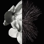 Givenchy Gentleman Edp Set 100 ml #4