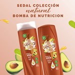 Acondicionador Sedal Bomba Nutrición Antifrizz 340 Ml. #4