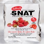Frutas Liofilizados Snat Frutilla x 15 g #1