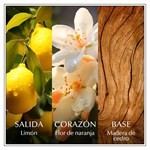 Chanson D Eau Edt Chanson D'eau Lemon x 100 ml #4