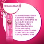 Sedal Acondicionador Ceramidas 340 Ml #9