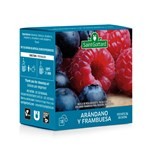 Té Saint Gottard de Arándano Y Frambuesa 10 uni #1