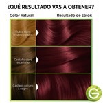 Nutrisse Kit de Coloración Permanente  clásico Tono 46 granada Color #4