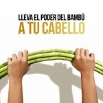 Pantene Shampoo Bambu 400 ml #6