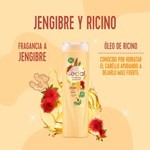 Acondicionador Sedal Jengibre Y Ricino 340 Ml #5