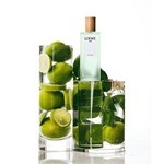 Loewe a Mi Aire Edt 100 ml #4