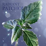 Lancome La Vie Est Belle Blanche Edp Ed. Limitada 50 ml Ed. Limitada Na21 #4