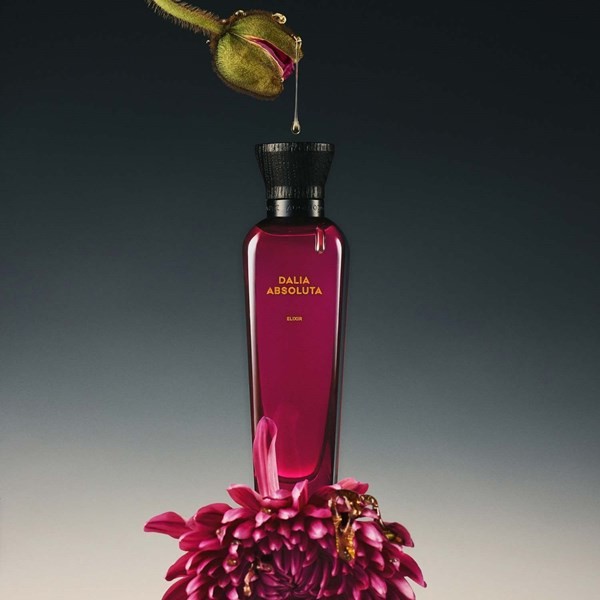 Adolfo Domínguez Dalia Absoluta Elixir 100 ml | Intenso y de larga duración alt