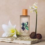 Sarkany Sofia Set Edp Atelier A01 Presentación 100 ml #3