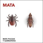 Insecticida Raid Mata Pulgas Y Garrapatas En Aerosol 390cc #4