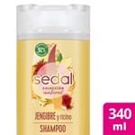 Shampoo Sedal Jengibre Y Ricino 340 Ml #1