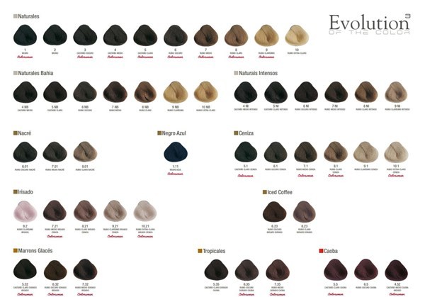 Alfaparf Tintura Permanente en Pomo Evolution 6.66 alt