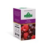 Infusión Frutal Saint Gottard Frutos Del Bosque x 20 Saquitos #1