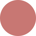 Lápiz Labial Revlon Colorstay Suede Ink Gut Instinct #4