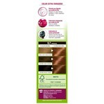 Garnier Kit Coloracion Cor Intensa 6.7 Rub Oscuro Chocolate #17