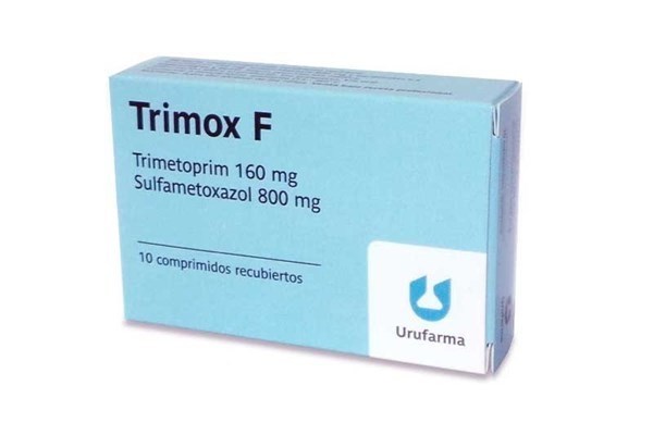Trimox forte | 10 comprimidos #1