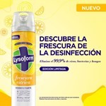 Lysoform Aerosol Desinfectante Frescura Citrica 360 ml #5