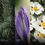 Afnan Supremacy Noir Edp Presentación 100 ml #3