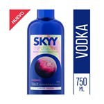 Vodka Sky Infusions Cosmic en Botella 750 ml #1
