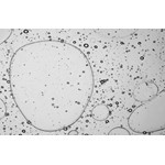 Rexona Antitranspirante V8 150 ml #9