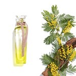 Adolfo Dominguez Fragancia Mimosa Coriandro F/W Edt 120 ml #3