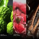 Armaf Club de Nuit Imperiale Edp 105 ml Presentación 105 ml #3