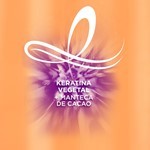 ACONDICIONADOR ELVIVE DREAM LONG LISS X 200 ml #4