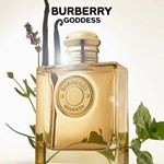 Burberry Goddess Intense Edp Tamaño 100 ml #3