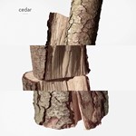 Twilly D´Hermès Ginger Edp Presentación 50 ml #3