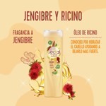 Shampoo Sedal Jengibre Y Ricino 340 Ml #5