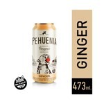 Sidra Pehuenia Jengibre en Lata 473 cc. #1