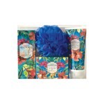 Acqua Di Vertiente Set Alegría Tropical 120 ml #1