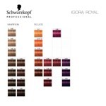 Schwarzkopf Professional Tintura Igora Royal (Tonos 7-0/E-1) 9 1/2-22 #3