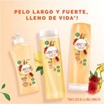 Shampoo Sedal Jengibre & Ricino 650 Ml. #8