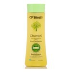 Biferdil Shampoo Con Extracto de Oliva 300 ml #2