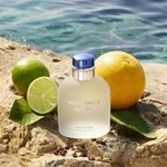 Dolce & Gabbana Light Blue Pour Homme Edt 75 ml #3