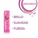 Sedal Acondicionador Ceramidas 340 Ml #4
