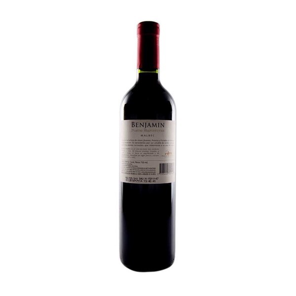 Vino Tinto Benjamín Nieto Senetiner Malbec 750 Cc alt