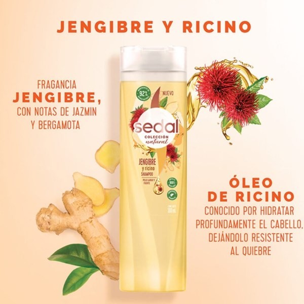 Acondicionador Sedal Jengibre & Ricino 650 Ml #1
