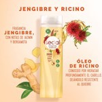 Acondicionador Sedal Jengibre & Ricino 650 Ml #1