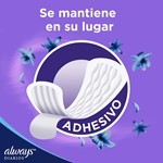 Protectores Diarios Respirables (80 Unidades) #9