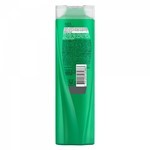 Shampoo Sedal Rizos Definidos 340 Ml #3