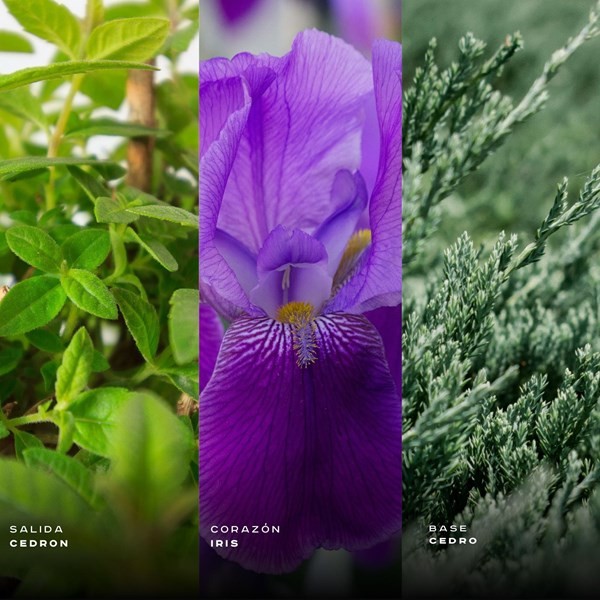 Lattafa Raghba For Man  Edp Spray 100 ml + deo 50ml alt